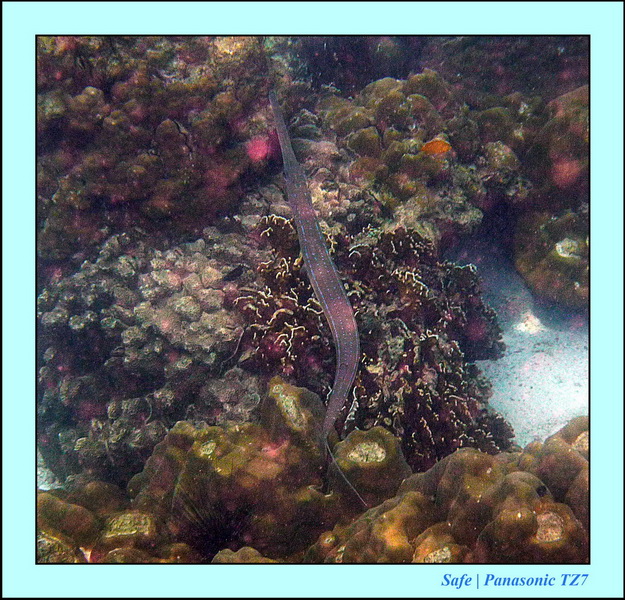 2011 - 07 - Koh Lipe 25